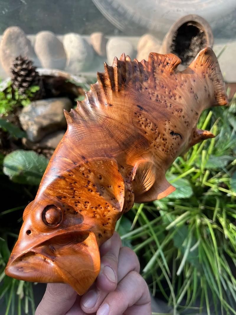 木雕魚中哪個品種最受歡迎，如何鑒別木雕魚的真偽，木雕魚的價格范圍是多少 木雕魚中哪個品種最受歡迎，如何鑒別木雕魚的真偽，木雕魚的價格范圍是多少 龍魚百科 第11張