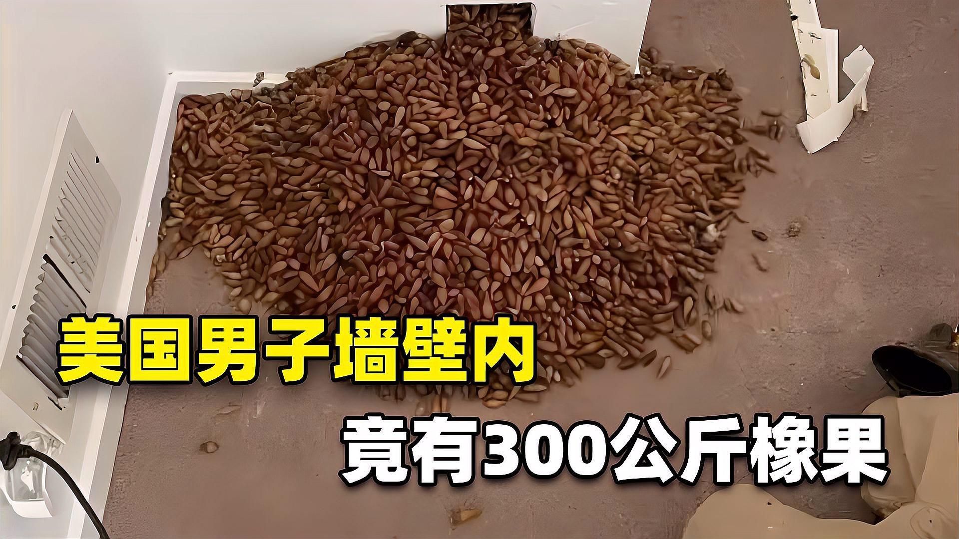 有哪些天然方法可以防治龍魚干和面包蟲，有哪些天然方法可以防治龍魚干和面包蟲,你這個(gè)問題挺細(xì) 有哪些天然方法可以防治龍魚干和面包蟲，有哪些天然方法可以防治龍魚干和面包蟲,你這個(gè)問題挺細(xì) 龍魚百科 第2張