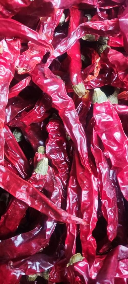 辣椒紅龍的市場價格如何，辣椒紅龍的價格如何