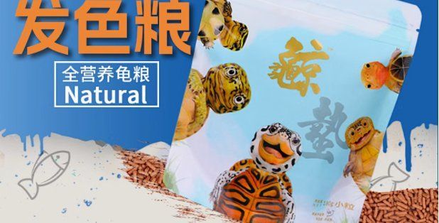 龜增色最簡單三個顏色，龜增色最簡單三個顏色提升 龜增色最簡單三個顏色，龜增色最簡單三個顏色提升 龍魚百科 第2張