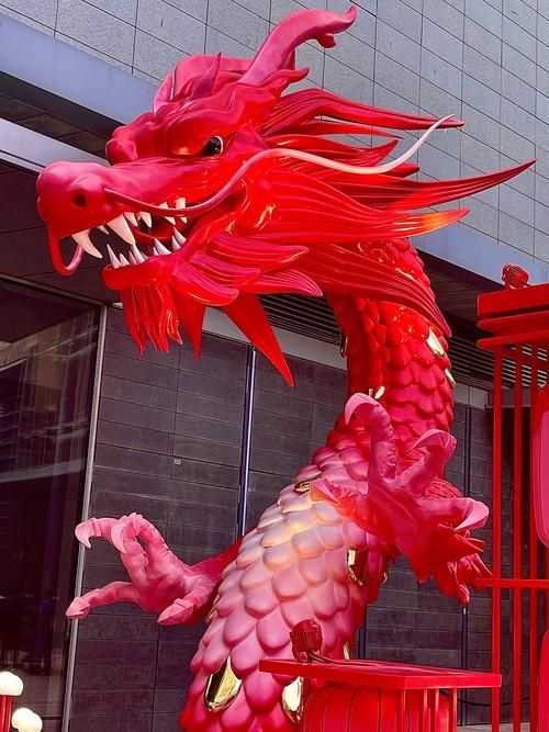 最漂亮的紅龍圖片，最漂亮的紅龍圖片，最漂亮、最具收藏價值的紅龍圖片 最漂亮的紅龍圖片，最漂亮的紅龍圖片，最漂亮、最具收藏價值的紅龍圖片 龍魚百科 第4張