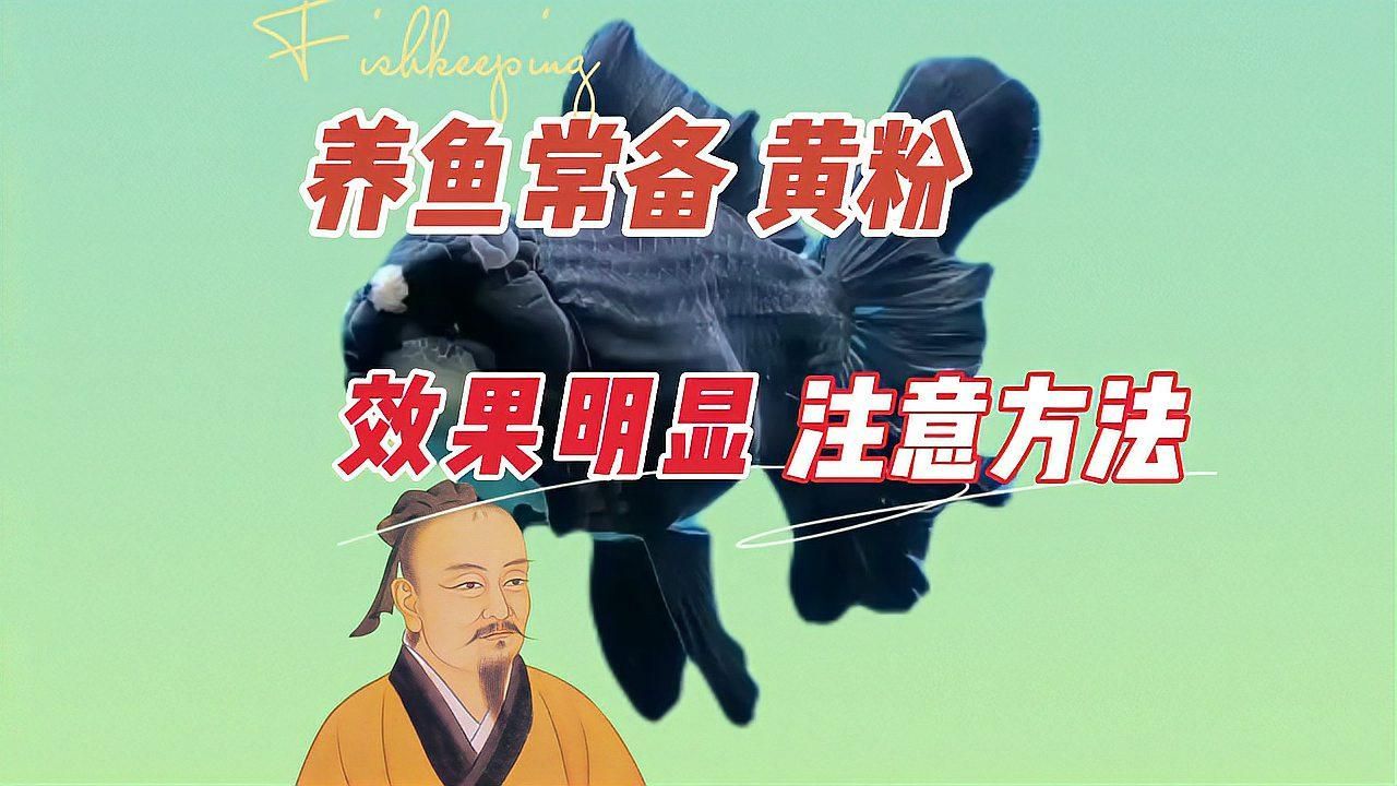 詳細(xì)閱讀:有哪些藥物可以幫助魚自愈,養(yǎng)魚筆記第3季71集 有哪些藥物可以幫助魚自愈,養(yǎng)魚筆記第3季71集