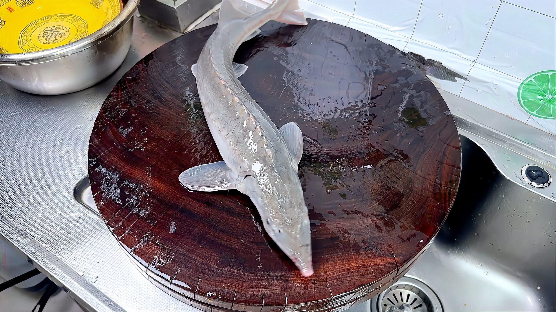 龍魚蒸制時需要加哪些調料？，清蒸龍魚有哪些經典做法？ 龍魚蒸制時需要加哪些調料？，清蒸龍魚有哪些經典做法？ 龍魚百科