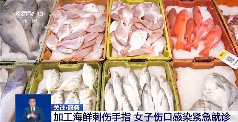 如何預防魚外傷感染，如何預防魚外傷感染及其實操指南 如何預防魚外傷感染，如何預防魚外傷感染及其實操指南 龍魚百科 第8張