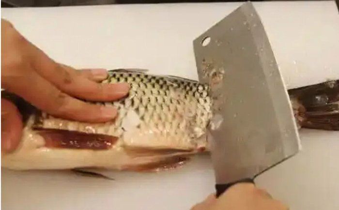 如何預防魚外傷感染，如何預防魚外傷感染及其實操指南 如何預防魚外傷感染，如何預防魚外傷感染及其實操指南 龍魚百科 第9張
