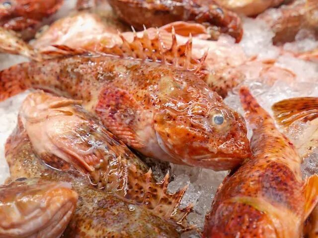 如何預防魚外傷感染，如何預防魚外傷感染及其實操指南 如何預防魚外傷感染，如何預防魚外傷感染及其實操指南 龍魚百科 第10張