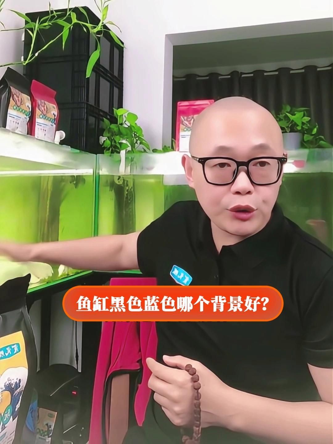 有哪些魚缸背景顏色推薦 有哪些魚缸背景顏色推薦 龍魚百科