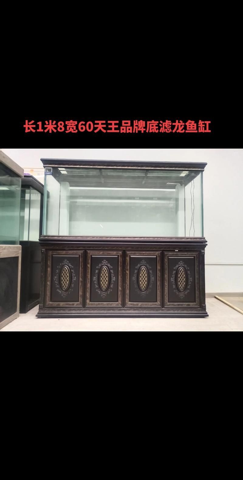 有哪些常見的龍魚缸尺寸？ 有哪些常見的龍魚缸尺寸？ 龍魚百科 第8張