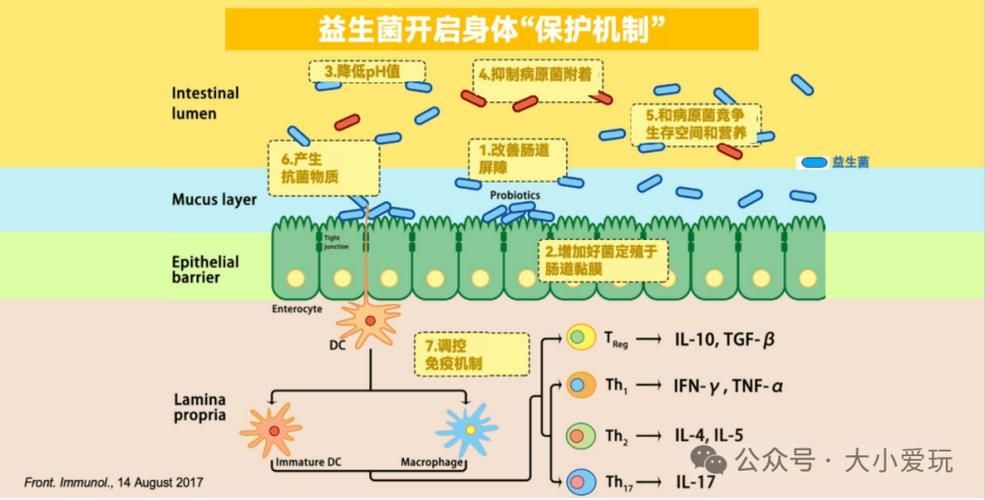 有哪些天然方法預防海水魚細菌感染，天然方法預防海水魚感染 有哪些天然方法預防海水魚細菌感染，天然方法預防海水魚感染 龍魚百科 第1張
