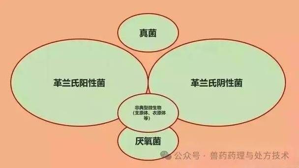 有哪些天然方法預防海水魚細菌感染，天然方法預防海水魚感染 有哪些天然方法預防海水魚細菌感染，天然方法預防海水魚感染 龍魚百科 第3張