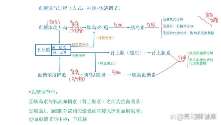 水質(zhì)性眼膜如何調(diào)整pH，水質(zhì)性眼膜如何補充“ph調(diào)節(jié)原理動畫”類 水質(zhì)性眼膜如何調(diào)整pH，水質(zhì)性眼膜如何補充“ph調(diào)節(jié)原理動畫”類 龍魚百科 第3張