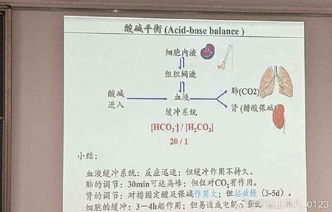 水質(zhì)性眼膜如何調(diào)整pH，水質(zhì)性眼膜如何補充“ph調(diào)節(jié)原理動畫”類 水質(zhì)性眼膜如何調(diào)整pH，水質(zhì)性眼膜如何補充“ph調(diào)節(jié)原理動畫”類 龍魚百科 第5張