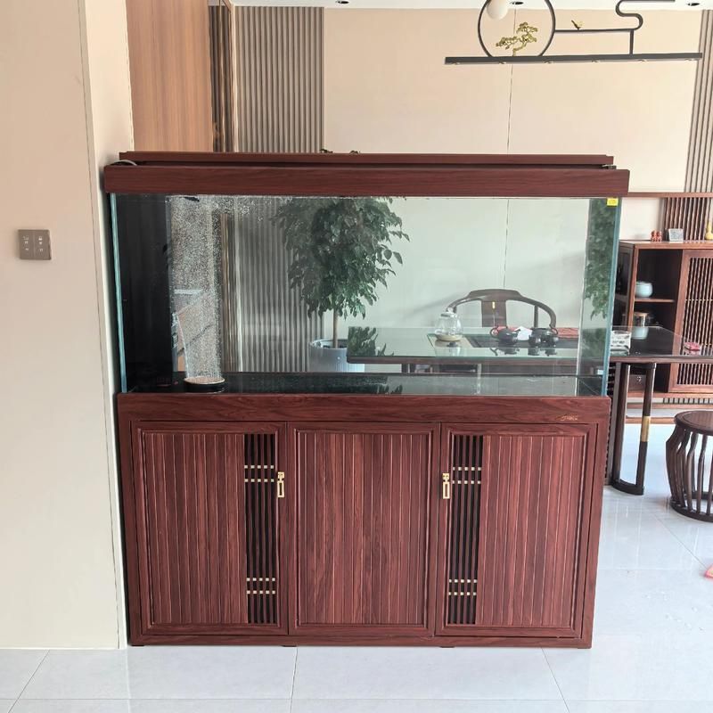 給我推薦幾款性價比高的龍魚缸型號，性價比高的龍魚缸型號推薦 給我推薦幾款性價比高的龍魚缸型號，性價比高的龍魚缸型號推薦 龍魚百科 第8張