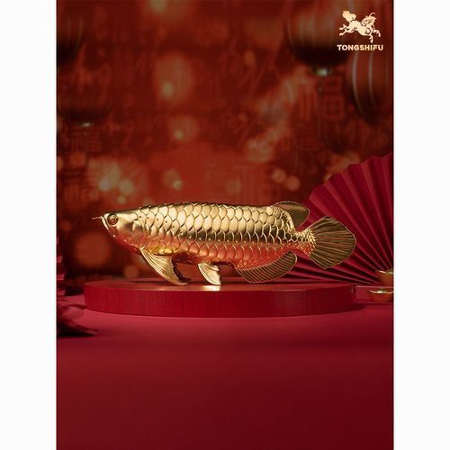 給我推薦幾款高端金龍魚擺件，幾款高端金龍魚擺件推薦 給我推薦幾款高端金龍魚擺件，幾款高端金龍魚擺件推薦 龍魚百科 第13張