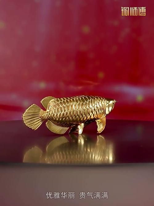 給我推薦幾款高端金龍魚擺件，幾款高端金龍魚擺件推薦 給我推薦幾款高端金龍魚擺件，幾款高端金龍魚擺件推薦 龍魚百科 第16張