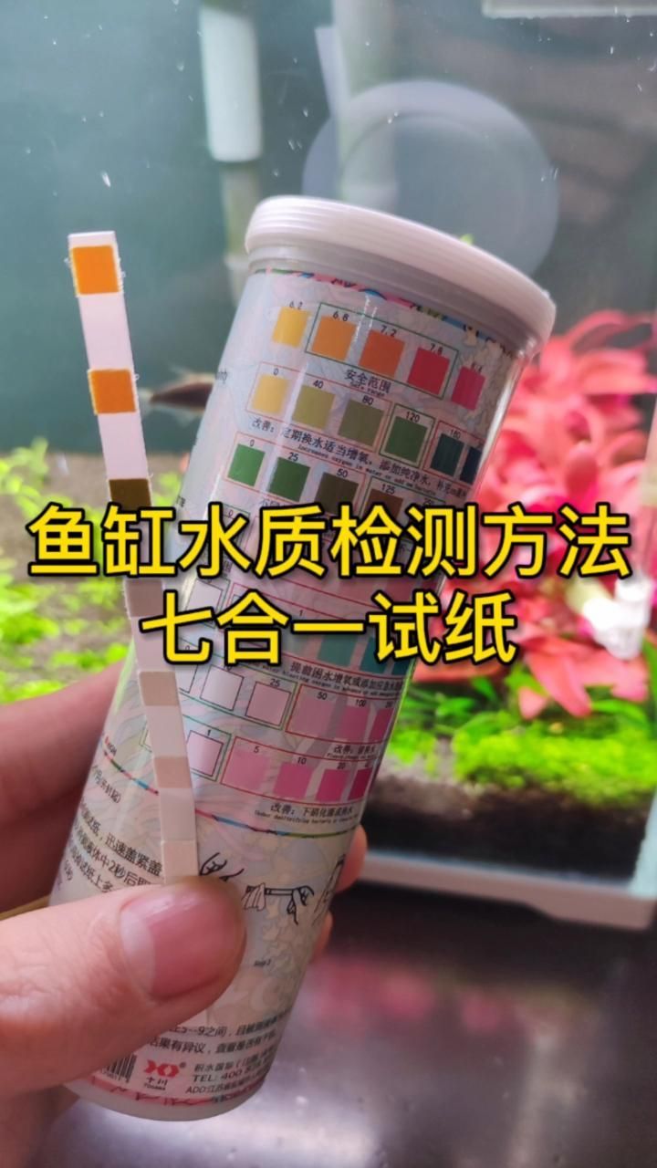 如何測試龍魚魚缸的水質參數？，如何測試龍魚