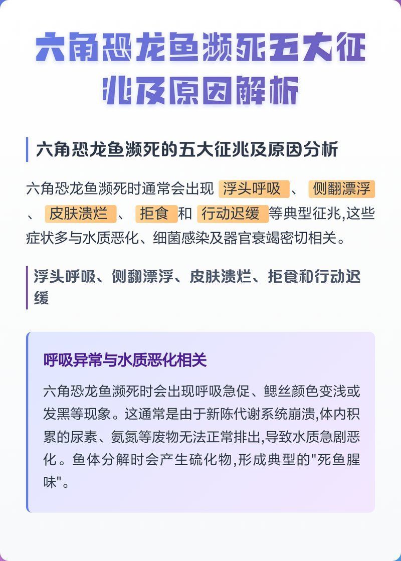 如何判斷龍魚是否死亡（跳缸、浮頭等），如何判斷龍魚是否死亡 如何判斷龍魚是否死亡（跳缸、浮頭等），如何判斷龍魚是否死亡 龍魚百科 第1張