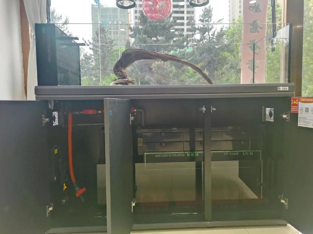 祥龍魚場(chǎng)有哪些高端魚缸系列？，祥龍魚場(chǎng)有哪些高端魚缸系列，祥龍魚場(chǎng)龍魚批發(fā)價(jià)格是多少 祥龍魚場(chǎng)有哪些高端魚缸系列？，祥龍魚場(chǎng)有哪些高端魚缸系列，祥龍魚場(chǎng)龍魚批發(fā)價(jià)格是多少 龍魚百科 第10張