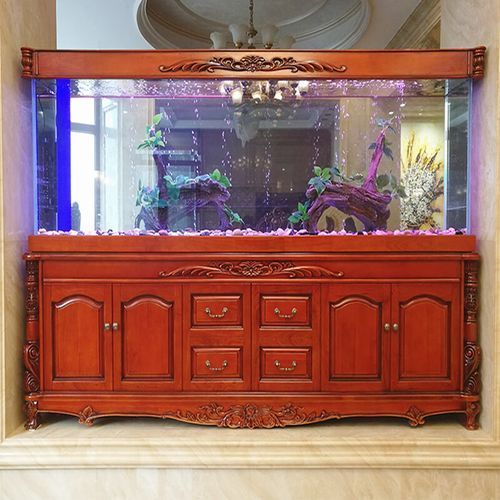 祥龍魚場(chǎng)有哪些高端魚缸系列？，祥龍魚場(chǎng)有哪些高端魚缸系列，祥龍魚場(chǎng)龍魚批發(fā)價(jià)格是多少 祥龍魚場(chǎng)有哪些高端魚缸系列？，祥龍魚場(chǎng)有哪些高端魚缸系列，祥龍魚場(chǎng)龍魚批發(fā)價(jià)格是多少 龍魚百科 第5張