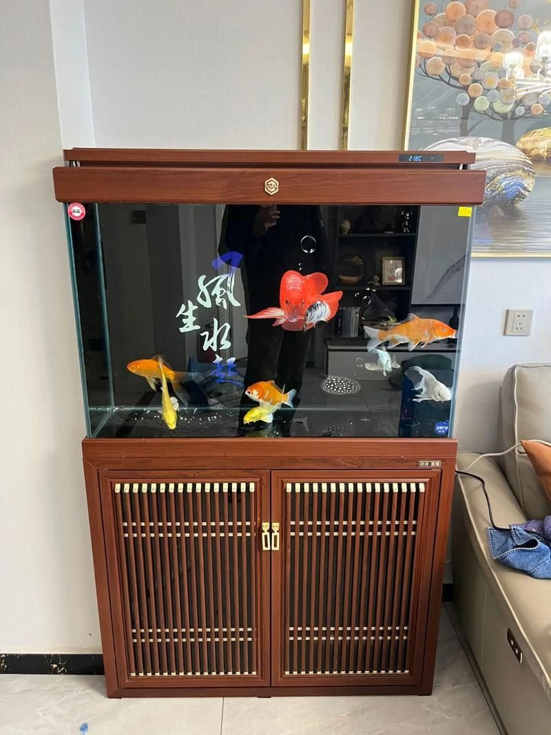 還有哪些魚缸品牌值得推薦，養(yǎng)魚新手入門必看 還有哪些魚缸品牌值得推薦，養(yǎng)魚新手入門必看 龍魚百科 第2張
