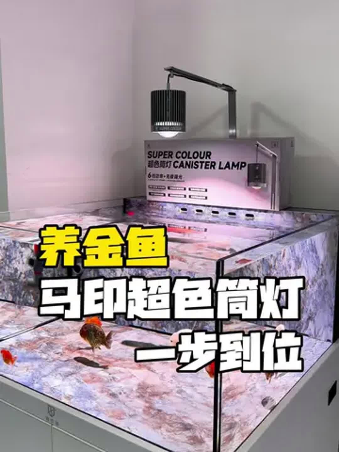 馬印燈具有哪些主打產品，馬印燈具有哪些主打產品調用工具 馬印燈具有哪些主打產品，馬印燈具有哪些主打產品調用工具 龍魚百科 第7張