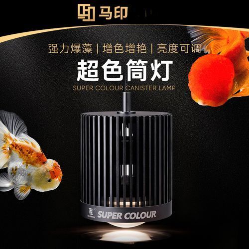 馬印燈具有哪些主打產品，馬印燈具有哪些主打產品調用工具 馬印燈具有哪些主打產品，馬印燈具有哪些主打產品調用工具 龍魚百科 第4張