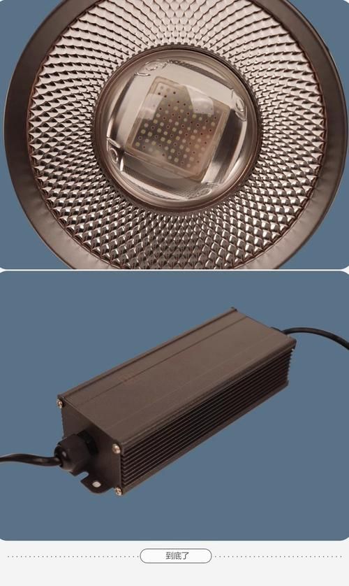 馬印燈具有哪些主打產品，馬印燈具有哪些主打產品調用工具 馬印燈具有哪些主打產品，馬印燈具有哪些主打產品調用工具 龍魚百科 第5張