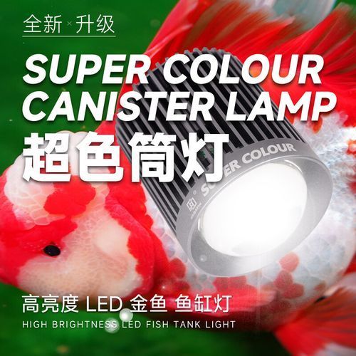 馬印燈具有哪些主打產品，馬印燈具有哪些主打產品調用工具 馬印燈具有哪些主打產品，馬印燈具有哪些主打產品調用工具 龍魚百科 第8張