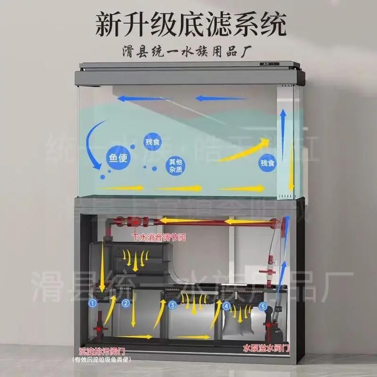 過高的龍魚缸有哪些維護難點？，“過高”龍魚缸的維護難點，1000字+配圖深度詳解 過高的龍魚缸有哪些維護難點？，“過高”龍魚缸的維護難點，1000字+配圖深度詳解 龍魚百科 第3張