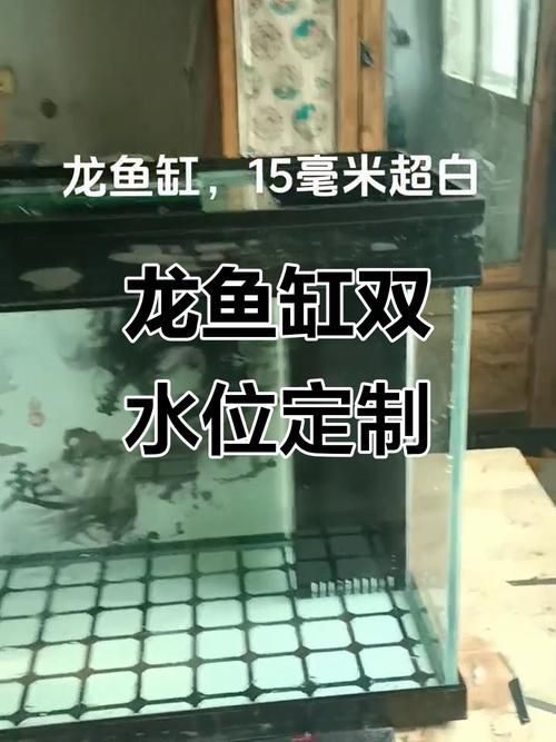 過高的龍魚缸有哪些維護難點？，“過高”龍魚缸的維護難點，1000字+配圖深度詳解 過高的龍魚缸有哪些維護難點？，“過高”龍魚缸的維護難點，1000字+配圖深度詳解 龍魚百科 第9張