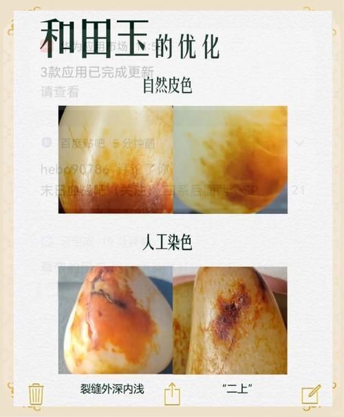 如何鑒定收藏品真?zhèn)?，收藏真?zhèn)舞b定的基本步驟 如何鑒定收藏品真?zhèn)?，收藏真?zhèn)舞b定的基本步驟 龍魚百科 第14張