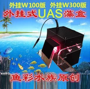 龍魚世界繁殖有限公司的營業(yè)期限是多久？，沈陽市和平區(qū)龍魚世界繁殖有限公司 龍魚世界繁殖有限公司的營業(yè)期限是多久？，沈陽市和平區(qū)龍魚世界繁殖有限公司 龍魚百科