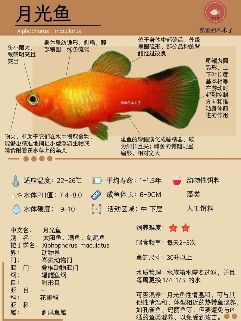 如何判斷觀賞魚(yú)的品質(zhì)，判斷觀賞魚(yú)的品質(zhì)可以從多個(gè)方面進(jìn)行評(píng)估 如何判斷觀賞魚(yú)的品質(zhì)，判斷觀賞魚(yú)的品質(zhì)可以從多個(gè)方面進(jìn)行評(píng)估 龍魚(yú)百科 第1張