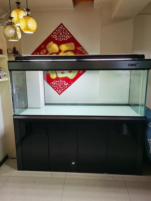 彩鰈(CADE)龍魚缸有哪些系列？，彩鰈(cade)龍魚缸有哪些系列？ 彩鰈(CADE)龍魚缸有哪些系列？，彩鰈(cade)龍魚缸有哪些系列？ 龍魚百科 第8張