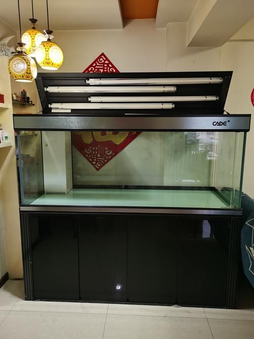 彩鰈(CADE)龍魚缸有哪些系列？，彩鰈(cade)龍魚缸有哪些系列？ 彩鰈(CADE)龍魚缸有哪些系列？，彩鰈(cade)龍魚缸有哪些系列？ 龍魚百科 第9張