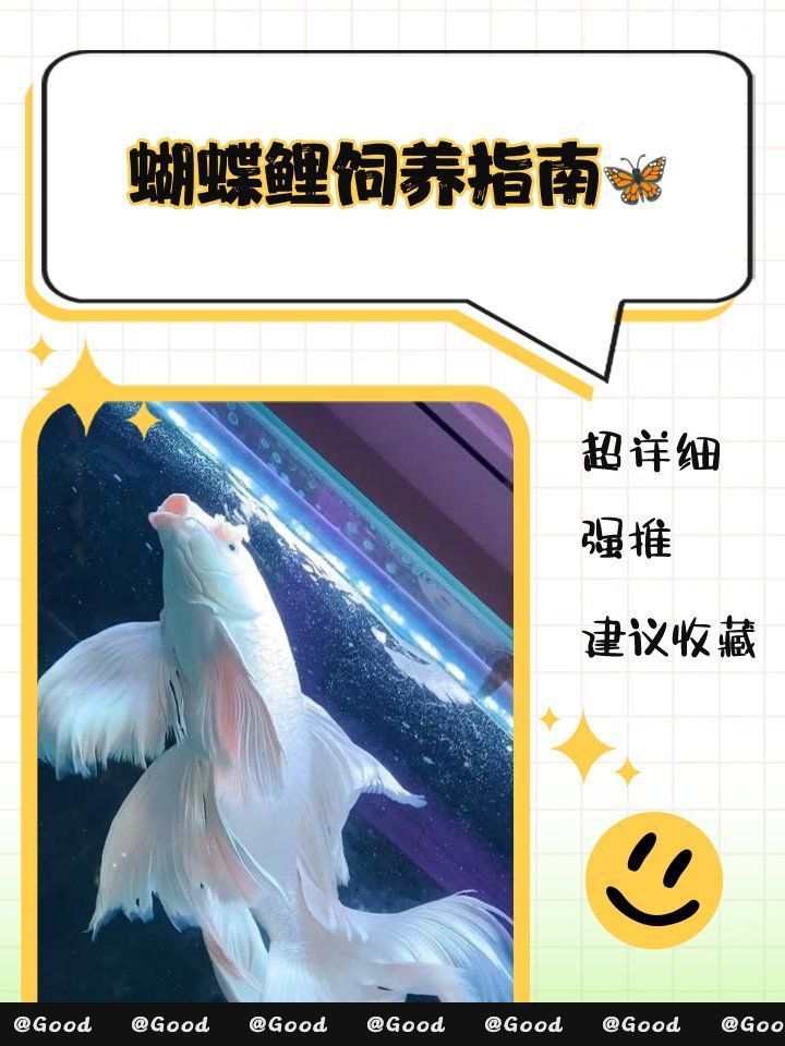 蝴蝶鯉適合什么水質，蝴蝶鯉對水質要求較高 蝴蝶鯉適合什么水質，蝴蝶鯉對水質要求較高 龍魚百科 第1張