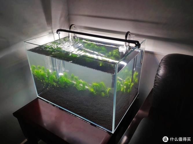 60厘米魚缸有哪些推薦配置，60厘米魚缸有哪些推薦配置，如何選擇60厘米魚缸的高性價比配置 60厘米魚缸有哪些推薦配置，60厘米魚缸有哪些推薦配置，如何選擇60厘米魚缸的高性價比配置 龍魚百科 第2張
