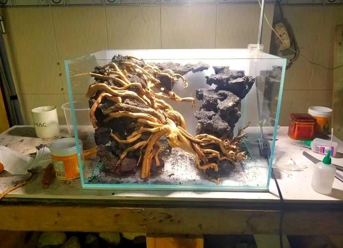 60厘米魚缸有哪些推薦配置，60厘米魚缸有哪些推薦配置，如何選擇60厘米魚缸的高性價比配置 60厘米魚缸有哪些推薦配置，60厘米魚缸有哪些推薦配置，如何選擇60厘米魚缸的高性價比配置 龍魚百科 第3張