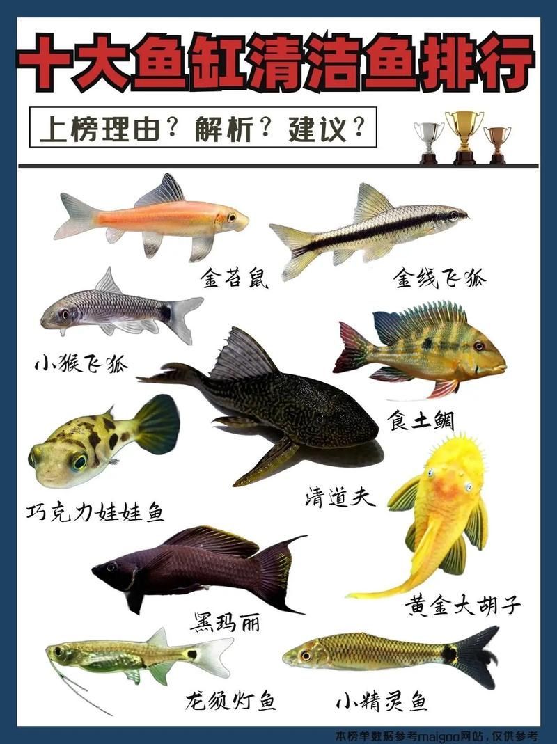 如何判斷魚是否趴缸，如何判斷魚是否是趴缸 如何判斷魚是否趴缸，如何判斷魚是否是趴缸 龍魚百科 第2張