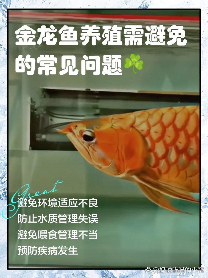 金龍魚對水質有何具體要求，養(yǎng)好金龍魚，水質是“養(yǎng)水”,水質不是“養(yǎng)水”就行 金龍魚對水質有何具體要求，養(yǎng)好金龍魚，水質是“養(yǎng)水”,水質不是“養(yǎng)水”就行 龍魚百科 第1張