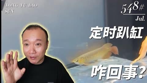 龍魚趴缸是休息還是疾病？，龍魚定時趴缸怎么回事 龍魚趴缸是休息還是疾病？，龍魚定時趴缸怎么回事 龍魚百科 第3張