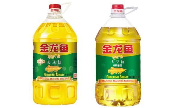 如何鑒別真假大金龍魚？，scleropagesformosus真假鑒別真假大金龍魚 如何鑒別真假大金龍魚？，scleropagesformosus真假鑒別真假大金龍魚 龍魚百科 第10張