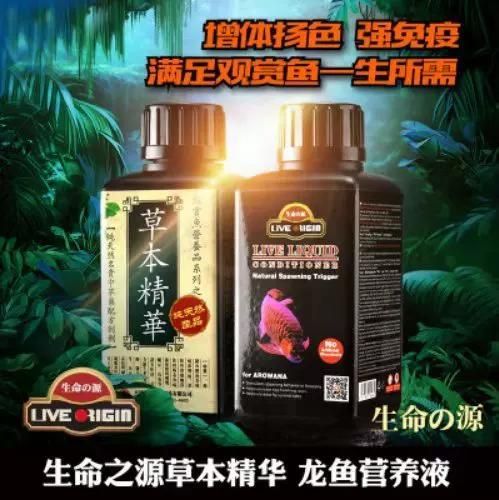 如何判斷龍魚爛鰭是否好轉，判斷龍魚爛鰭是否好轉，如何判斷龍魚爛鰭是否好轉 如何判斷龍魚爛鰭是否好轉，判斷龍魚爛鰭是否好轉，如何判斷龍魚爛鰭是否好轉 龍魚百科 第6張