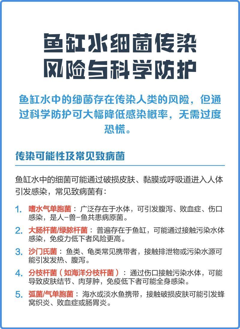 魚缸水細菌會傳染人么，如何判斷魚缸水是否含有致病菌 魚缸水細菌會傳染人么，如何判斷魚缸水是否含有致病菌 龍魚百科 第2張