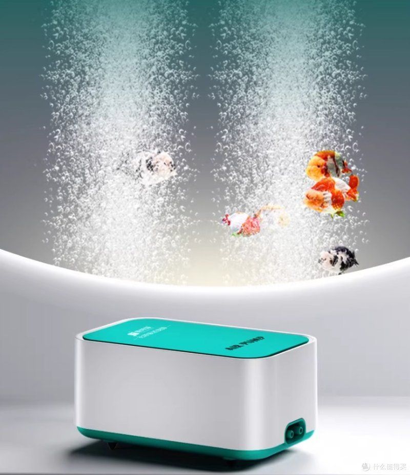魚缸增氧泵哪個型號性價比最高，松寶魚缸增氧泵哪個型號性價比最高性價比最高性價比最高 魚缸增氧泵哪個型號性價比最高，松寶魚缸增氧泵哪個型號性價比最高性價比最高性價比最高 龍魚百科 第1張