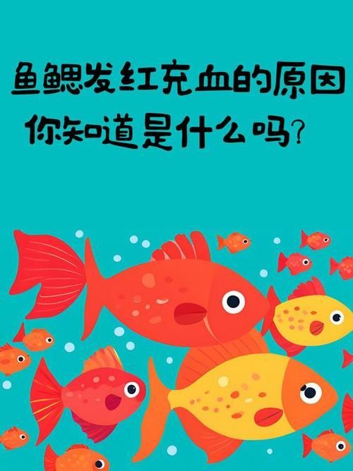 如何預防魚充血的發生，如何預防魚充血 如何預防魚充血的發生，如何預防魚充血 龍魚百科 第5張