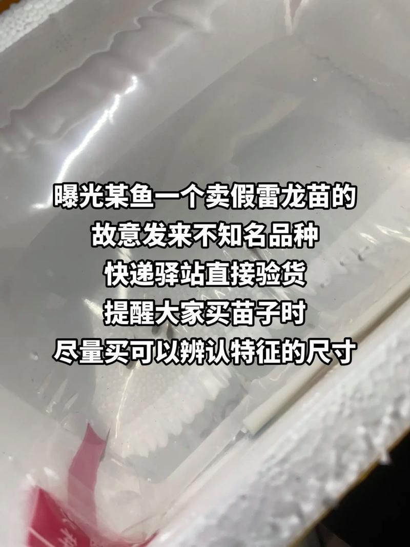 給我一些鑒別真假桐城龍魚的圖片示例，如何鑒別真假桐城龍魚的圖片示例
