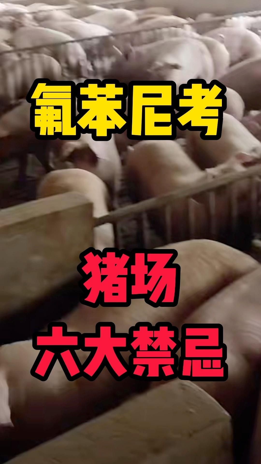 如何判斷動物是否適合使用氟苯尼考，判斷動物是否適合使用氟苯尼考 如何判斷動物是否適合使用氟苯尼考，判斷動物是否適合使用氟苯尼考 龍魚百科 第2張