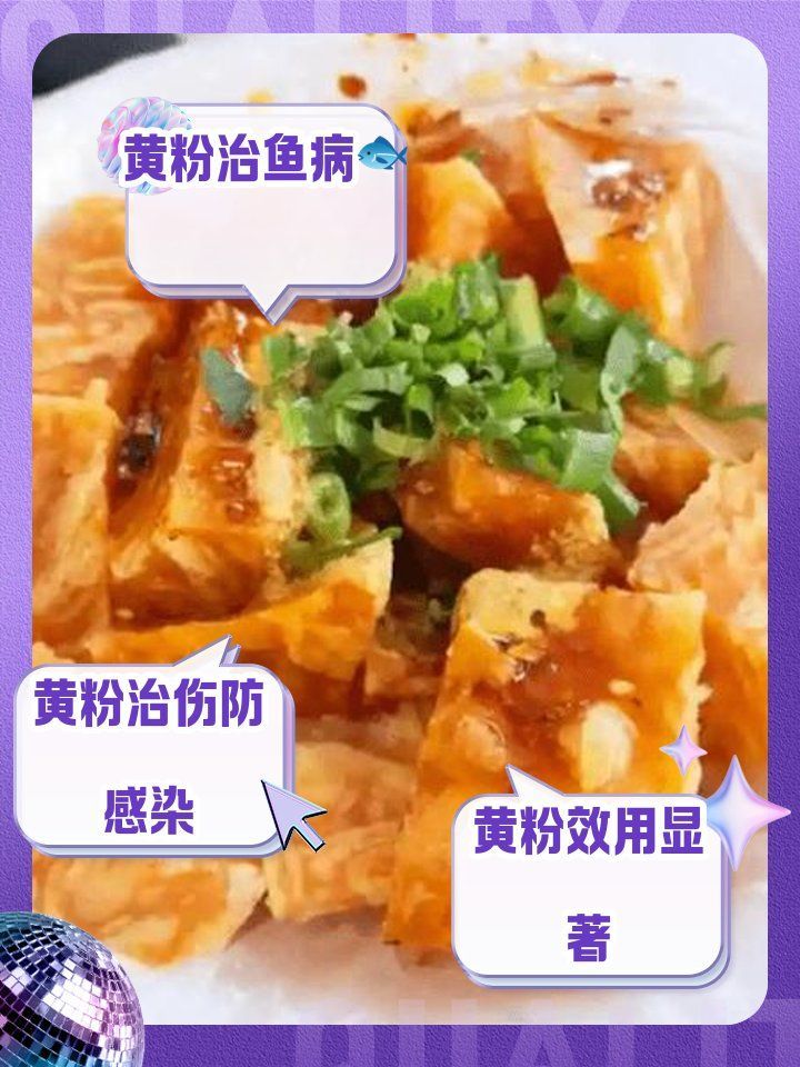 如何正確使用黃粉治療魚傷口 如何正確使用黃粉治療魚傷口 龍魚百科 第1張