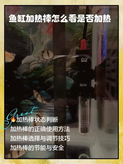 如何預(yù)防龍魚浮頭的發(fā)生，如何預(yù)防龍魚浮頭發(fā)生思考完成arxiv論文助手